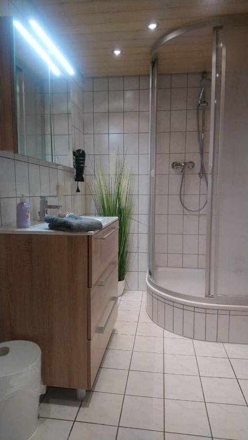 Kastanienblick Daire Sankt Andreasberg Dış mekan fotoğraf