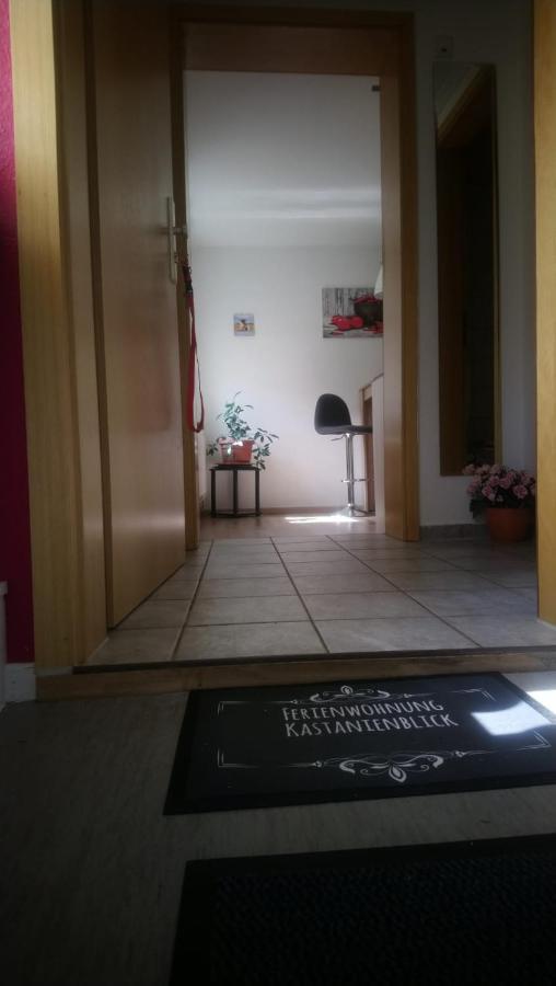 Kastanienblick Daire Sankt Andreasberg Dış mekan fotoğraf