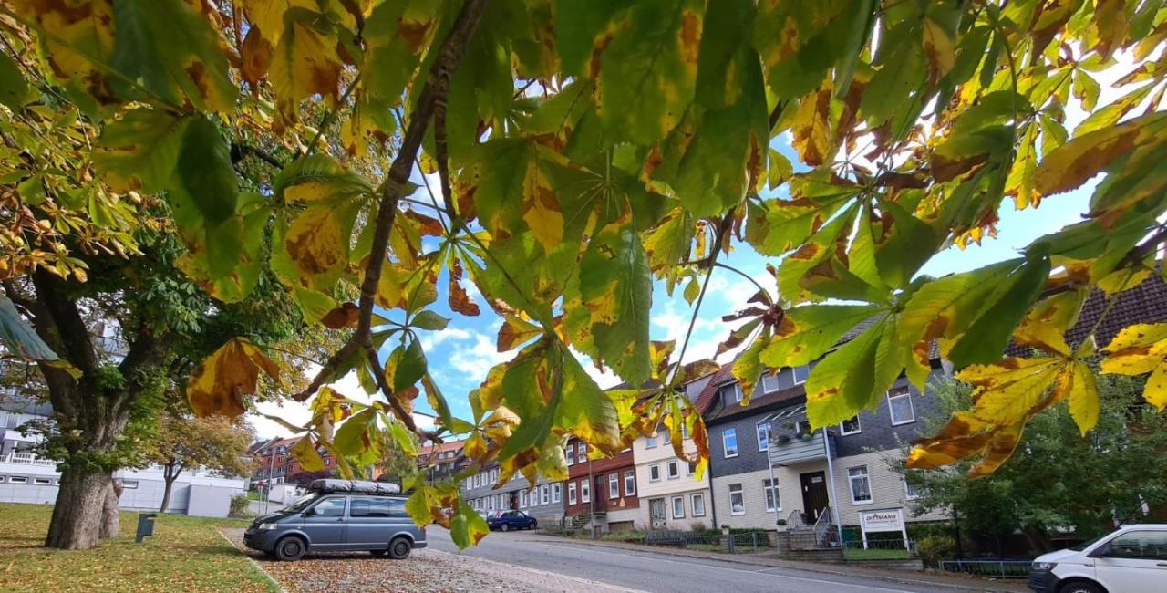 Kastanienblick Daire Sankt Andreasberg Dış mekan fotoğraf