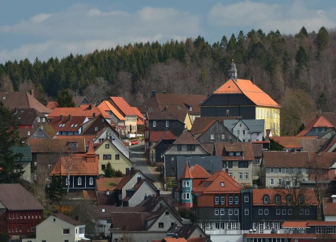 Kastanienblick Daire Sankt Andreasberg Dış mekan fotoğraf